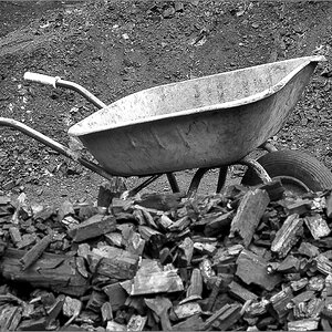 DS2_9984.jpg