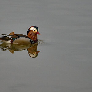 Schleienloch-Apr 25 2022-7796_1200px.jpg