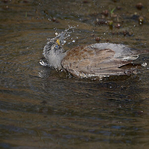 Schleienloch-Apr 25 2022-7686_1200px.jpg
