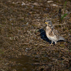 Schleienloch-Apr 25 2022-7622_1200px.jpg