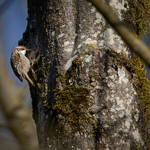 Mär 09 2022-10.jpg