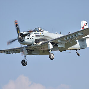DSC_5876.jpg