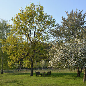 DSC_9960.JPG