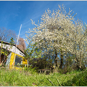 176 In der Bünte – Fisheye I