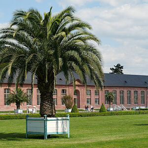 P1050746.jpg