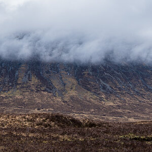 Z60_5388-Pano.jpg