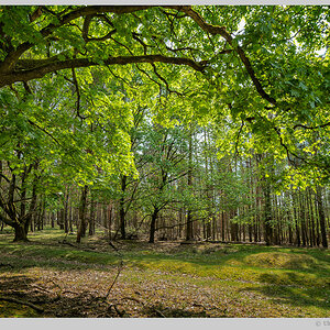 Naturpark