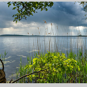 Blankensee