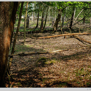 Naturpark