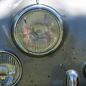 20220508-D50_4452.jpg