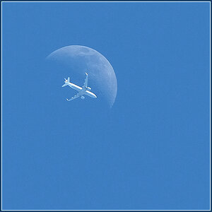 LH-E2.jpg
