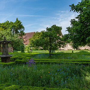 DSD_1339.jpg