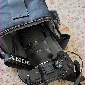 comp_DSC04060.jpg