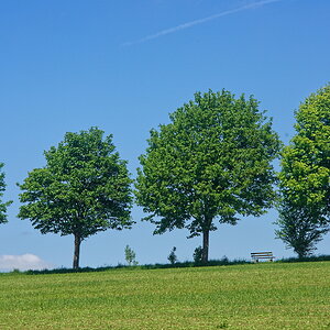 DSC_3949_DxOn.jpg