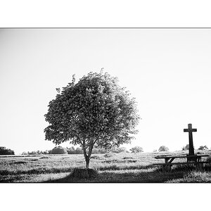 JuraDSC_6816.jpg
