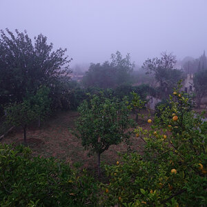 Nebel.1.jpg