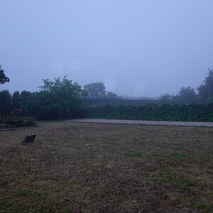 Nebel.jpg