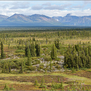 Alaska_2018-044.jpg