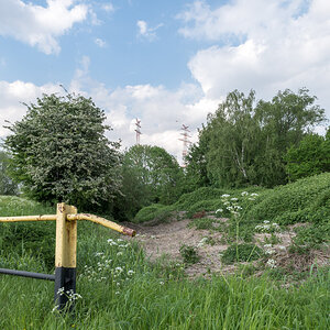 20220517-D50_4514.jpg