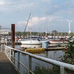 20220517-D50_4546.jpg