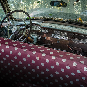 Backseat View