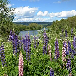 Blick auf den Klarälven