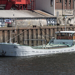 D50_2125-.JPG