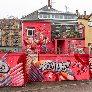 20210131-DSC_2745.jpg