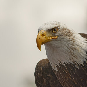 _DSC0040NF.jpg