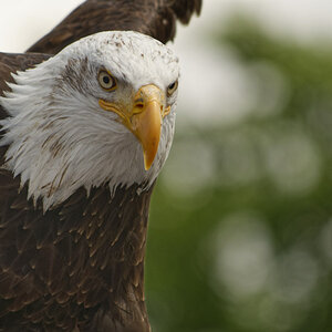 _DSC0041NF.jpg