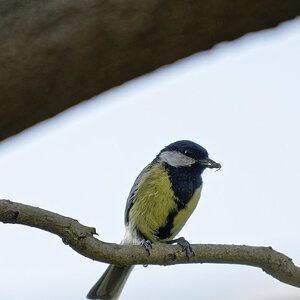 _DSC9962NF.jpg