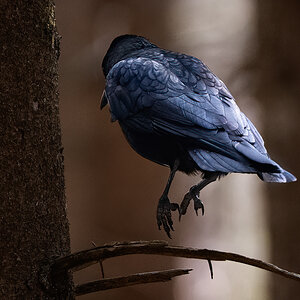 _DSC0720-Bearbeitet-Bearbeitet-1.jpg