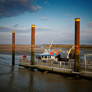 Z62_5048.jpg