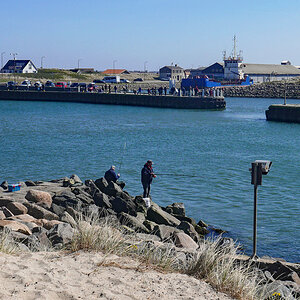 P1220956Pxl.jpg