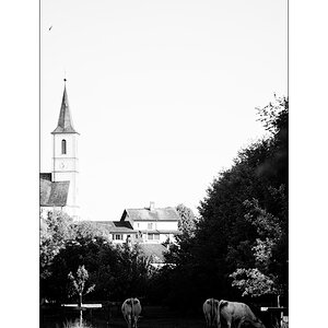 JuraDSC_3541.jpg