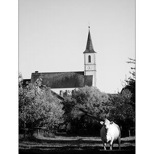 JuraDSC_3543.jpg