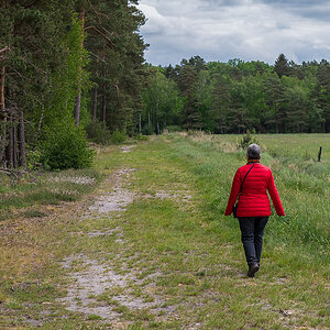 Lady in red (1 von 1).jpg