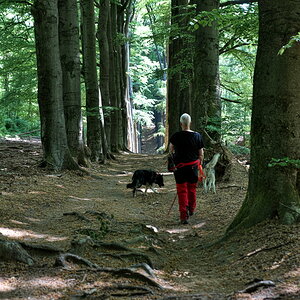 DFX_3900.jpg