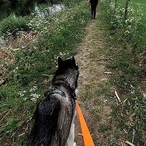 20220517_114647.jpg