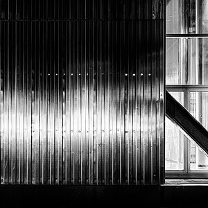 DSC_9367 web.jpg