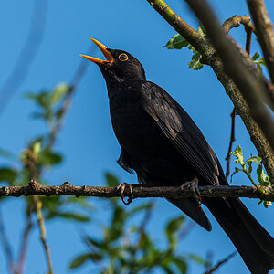 F75_6796-2.jpg