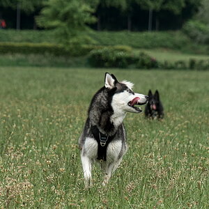 DFX_4117.jpg