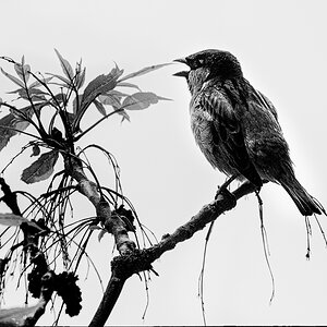 _DSC5552-Bearbeitet-Bearbeitet-1.jpg
