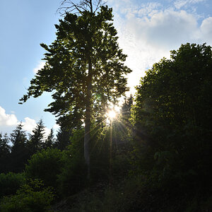 DSC_2434.JPG