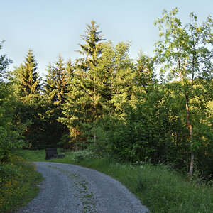 DSC_2459.JPG