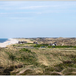 249 Sylt – Nordseedünen bei Kampen