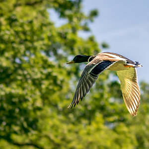 20190601-DSC_4457.jpg
