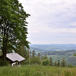 DSC_2597.JPG