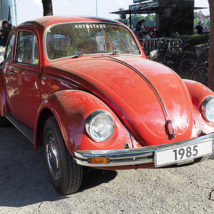 VW Käfer 'Samt-Käfer' F.jpg