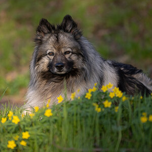 _CH91274-Bearbeitet-1.jpg